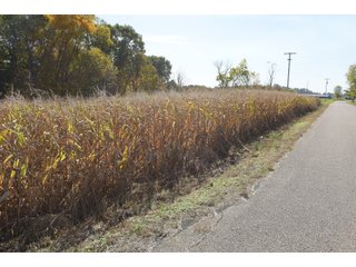 Property photo 54 - LAND AUCTION - 513+/- ACRES OFFERED IN 17 TRACTS IN MORGAN AND WASHINGTON COUNTY, OHIO