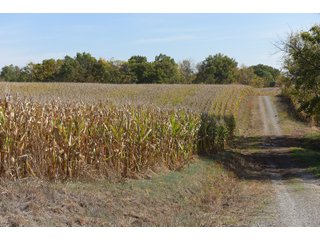 Property photo 56 - LAND AUCTION - 513+/- ACRES OFFERED IN 17 TRACTS IN MORGAN AND WASHINGTON COUNTY, OHIO