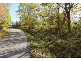 Property photo 57 - LAND AUCTION - 513+/- ACRES OFFERED IN 17 TRACTS IN MORGAN AND WASHINGTON COUNTY, OHIO