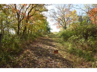 Property photo 59 - LAND AUCTION - 513+/- ACRES OFFERED IN 17 TRACTS IN MORGAN AND WASHINGTON COUNTY, OHIO