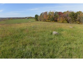 Property photo 62 - LAND AUCTION - 513+/- ACRES OFFERED IN 17 TRACTS IN MORGAN AND WASHINGTON COUNTY, OHIO