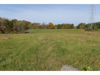 Property photo 63 - LAND AUCTION - 513+/- ACRES OFFERED IN 17 TRACTS IN MORGAN AND WASHINGTON COUNTY, OHIO