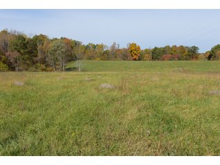 Property photo 64 - LAND AUCTION - 513+/- ACRES OFFERED IN 17 TRACTS IN MORGAN AND WASHINGTON COUNTY, OHIO
