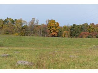 Property photo 65 - LAND AUCTION - 513+/- ACRES OFFERED IN 17 TRACTS IN MORGAN AND WASHINGTON COUNTY, OHIO