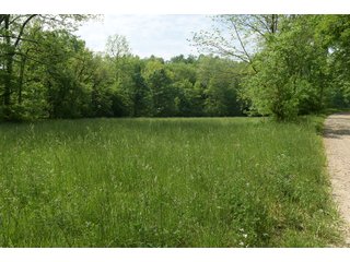 Property photo 70 - LAND AUCTION - 513+/- ACRES OFFERED IN 17 TRACTS IN MORGAN AND WASHINGTON COUNTY, OHIO