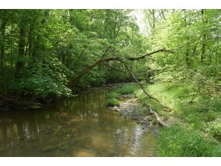 Property photo 71 - LAND AUCTION - 513+/- ACRES OFFERED IN 17 TRACTS IN MORGAN AND WASHINGTON COUNTY, OHIO