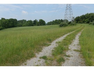 Property photo 75 - LAND AUCTION - 513+/- ACRES OFFERED IN 17 TRACTS IN MORGAN AND WASHINGTON COUNTY, OHIO