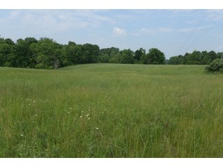 Property photo 76 - LAND AUCTION - 513+/- ACRES OFFERED IN 17 TRACTS IN MORGAN AND WASHINGTON COUNTY, OHIO