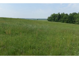 Property photo 77 - LAND AUCTION - 513+/- ACRES OFFERED IN 17 TRACTS IN MORGAN AND WASHINGTON COUNTY, OHIO