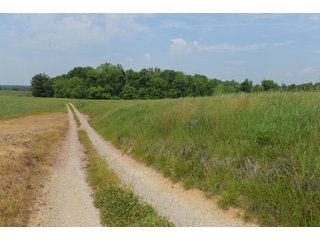 Property photo 80 - LAND AUCTION - 513+/- ACRES OFFERED IN 17 TRACTS IN MORGAN AND WASHINGTON COUNTY, OHIO