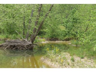 Property photo 85 - LAND AUCTION - 513+/- ACRES OFFERED IN 17 TRACTS IN MORGAN AND WASHINGTON COUNTY, OHIO