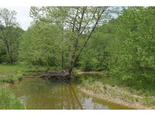 Property photo 86 - LAND AUCTION - 513+/- ACRES OFFERED IN 17 TRACTS IN MORGAN AND WASHINGTON COUNTY, OHIO