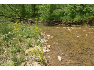 Property photo 88 - LAND AUCTION - 513+/- ACRES OFFERED IN 17 TRACTS IN MORGAN AND WASHINGTON COUNTY, OHIO