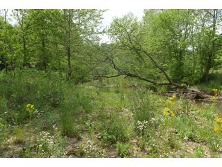 Property photo 89 - LAND AUCTION - 513+/- ACRES OFFERED IN 17 TRACTS IN MORGAN AND WASHINGTON COUNTY, OHIO
