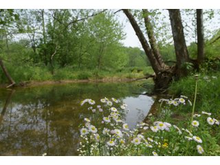 Property photo 91 - LAND AUCTION - 513+/- ACRES OFFERED IN 17 TRACTS IN MORGAN AND WASHINGTON COUNTY, OHIO