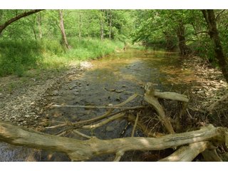 Property photo 92 - LAND AUCTION - 513+/- ACRES OFFERED IN 17 TRACTS IN MORGAN AND WASHINGTON COUNTY, OHIO