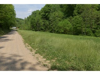 Property photo 96 - LAND AUCTION - 513+/- ACRES OFFERED IN 17 TRACTS IN MORGAN AND WASHINGTON COUNTY, OHIO