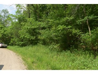 Property photo 102 - LAND AUCTION - 513+/- ACRES OFFERED IN 17 TRACTS IN MORGAN AND WASHINGTON COUNTY, OHIO