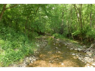 Property photo 103 - LAND AUCTION - 513+/- ACRES OFFERED IN 17 TRACTS IN MORGAN AND WASHINGTON COUNTY, OHIO