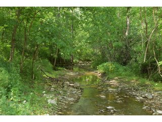 Property photo 104 - LAND AUCTION - 513+/- ACRES OFFERED IN 17 TRACTS IN MORGAN AND WASHINGTON COUNTY, OHIO