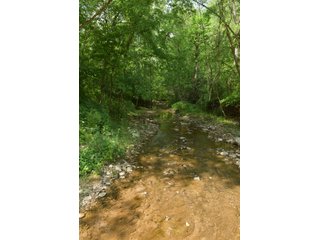 Property photo 105 - LAND AUCTION - 513+/- ACRES OFFERED IN 17 TRACTS IN MORGAN AND WASHINGTON COUNTY, OHIO