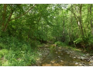 Property photo 106 - LAND AUCTION - 513+/- ACRES OFFERED IN 17 TRACTS IN MORGAN AND WASHINGTON COUNTY, OHIO