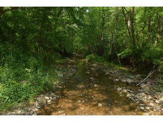 Property photo 107 - LAND AUCTION - 513+/- ACRES OFFERED IN 17 TRACTS IN MORGAN AND WASHINGTON COUNTY, OHIO