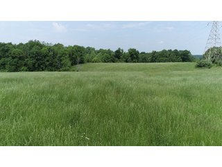 Property photo 10 - LAND AUCTION - 513+/- ACRES OFFERED IN 17 TRACTS IN MORGAN AND WASHINGTON COUNTY, OHIO