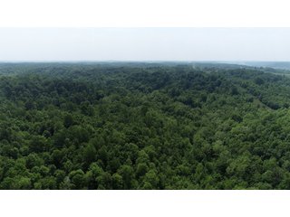 Property photo 2 - LAND AUCTION - 513+/- ACRES OFFERED IN 17 TRACTS IN MORGAN AND WASHINGTON COUNTY, OHIO