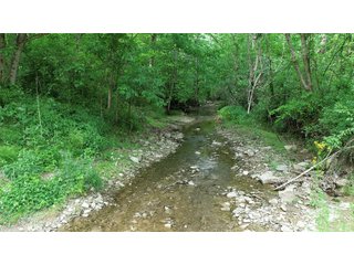 Property photo 42 - LAND AUCTION - 513+/- ACRES OFFERED IN 17 TRACTS IN MORGAN AND WASHINGTON COUNTY, OHIO