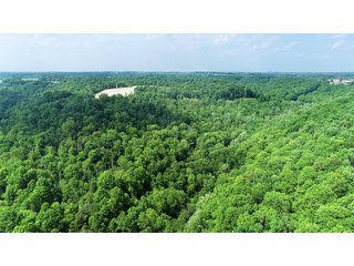 Property photo 25 - LAND AUCTION - 513+/- ACRES OFFERED IN 17 TRACTS IN MORGAN AND WASHINGTON COUNTY, OHIO