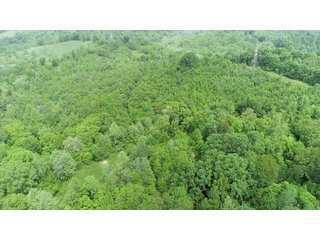 Property photo 7 - LAND AUCTION - 513+/- ACRES OFFERED IN 17 TRACTS IN MORGAN AND WASHINGTON COUNTY, OHIO