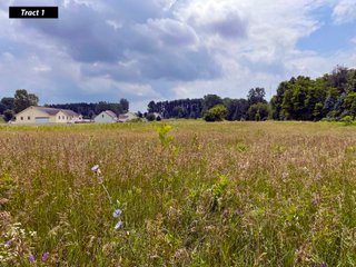 Property photo 10 - LAND AUCTION - 99+/- ACRES - OFFERED IN 12 TRACTS - LENAWEE COUNTY, MI