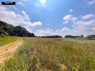 Property photo 22 - LAND AUCTION - 99+/- ACRES - OFFERED IN 12 TRACTS - LENAWEE COUNTY, MI