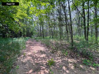 Property photo 21 - LAND AUCTION - 99+/- ACRES - OFFERED IN 12 TRACTS - LENAWEE COUNTY, MI