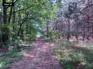 Property photo 19 - LAND AUCTION - 99+/- ACRES - OFFERED IN 12 TRACTS - LENAWEE COUNTY, MI