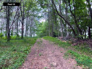 Property photo 17 - LAND AUCTION - 99+/- ACRES - OFFERED IN 12 TRACTS - LENAWEE COUNTY, MI