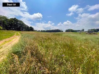 Property photo 16 - LAND AUCTION - 99+/- ACRES - OFFERED IN 12 TRACTS - LENAWEE COUNTY, MI