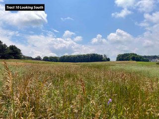Property photo 15 - LAND AUCTION - 99+/- ACRES - OFFERED IN 12 TRACTS - LENAWEE COUNTY, MI