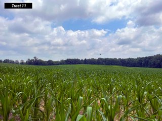 Property photo 23 - LAND AUCTION - 99+/- ACRES - OFFERED IN 12 TRACTS - LENAWEE COUNTY, MI