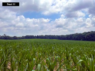 Property photo 24 - LAND AUCTION - 99+/- ACRES - OFFERED IN 12 TRACTS - LENAWEE COUNTY, MI
