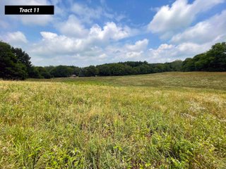Property photo 25 - LAND AUCTION - 99+/- ACRES - OFFERED IN 12 TRACTS - LENAWEE COUNTY, MI
