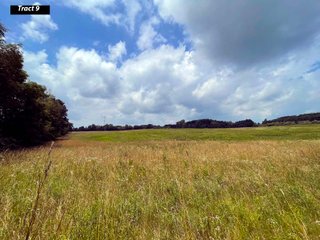 Property photo 12 - LAND AUCTION - 99+/- ACRES - OFFERED IN 12 TRACTS - LENAWEE COUNTY, MI