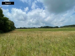 Property photo 13 - LAND AUCTION - 99+/- ACRES - OFFERED IN 12 TRACTS - LENAWEE COUNTY, MI