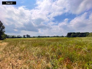 Property photo 14 - LAND AUCTION - 99+/- ACRES - OFFERED IN 12 TRACTS - LENAWEE COUNTY, MI