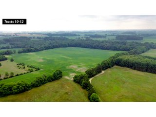 Property photo 8 - LAND AUCTION - 99+/- ACRES - OFFERED IN 12 TRACTS - LENAWEE COUNTY, MI