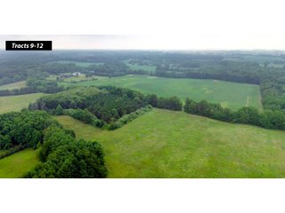 Property photo 7 - LAND AUCTION - 99+/- ACRES - OFFERED IN 12 TRACTS - LENAWEE COUNTY, MI