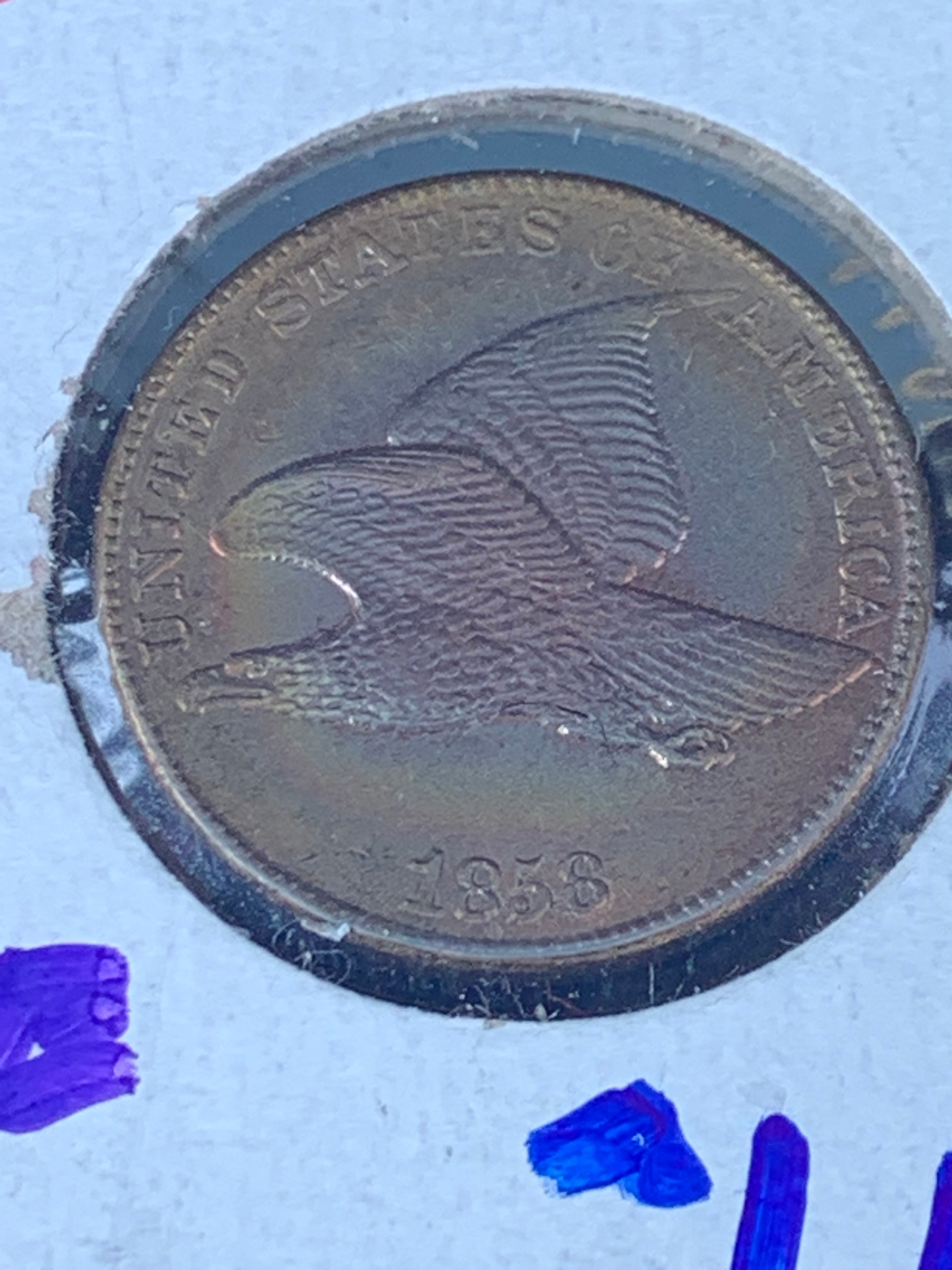 Property photo 31 - EXCEPTIONAL PRIVATE COIN COLLECTION AUCTION IN WHITLEY COUNTY, IN