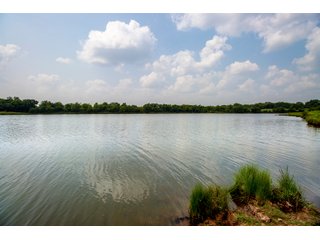 Property photo 49 - LAND AUCTION - 1060.77+/- ACRES 5 FARMS OFFERED IN 21 TRACTS - McCLAIN AND GARVIN COUNTIES, OKLAHOMA