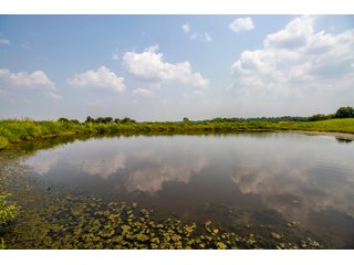 Property photo 23 - LAND AUCTION - 1060.77+/- ACRES 5 FARMS OFFERED IN 21 TRACTS - McCLAIN AND GARVIN COUNTIES, OKLAHOMA